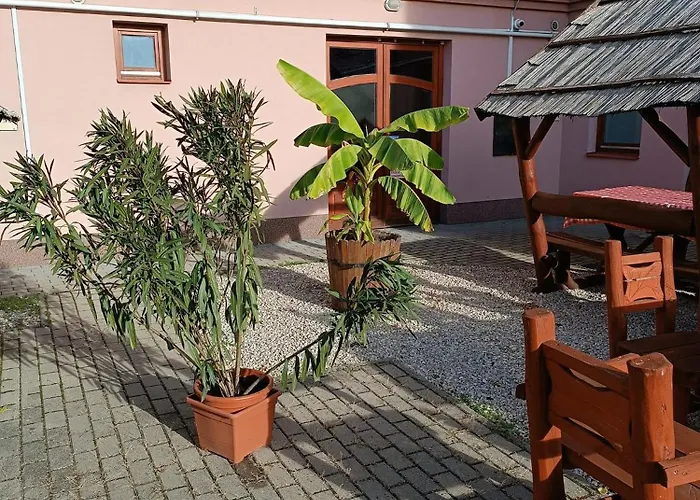 Malom Panzio Kiskunfélegyháza